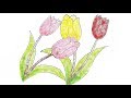 How to Tulip Flower Draw // Easy step-by-step drawing for kids