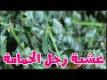ما هي عشبة رجل الحمام وما فوائدها وأضرارها