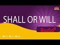 Shall and will usage in telugu | spoken english in telugu#lifetimeenglish#englishlanguage| DAR FOCUS
