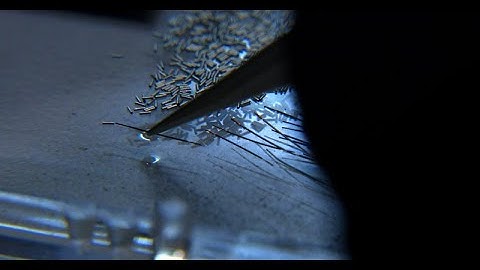 Workforce Health Drives Cretex Medical to Automate Precision Assembly