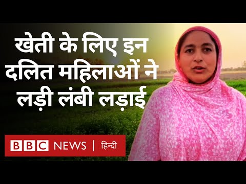 Dalit Women Farmers : Punjab की इन महिलाओं को कैसे मिला खेती के लिए ज़मीन का अधिकार (BBC Hindi)