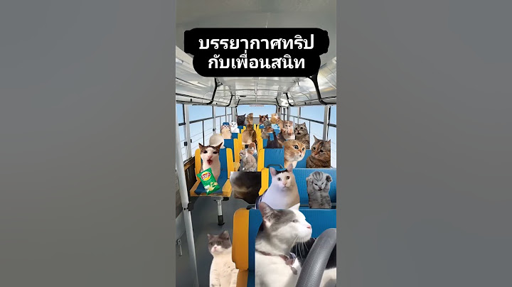 HNY 2024 #meowbarn #แมว #ทาสแมว #มีมแมว