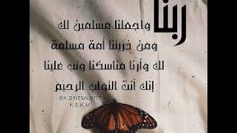 تلاوة تجعلك في سكينة و تشرح الصدور و تخشع لها القلوب