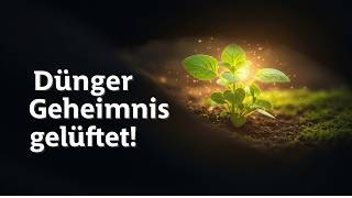 Der perfekte Dünger für deinen Garten – einfach erklärt!