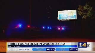 IMPD investigates triple homicide after 3 bodies are found in wooded area on Indy's south side Profile