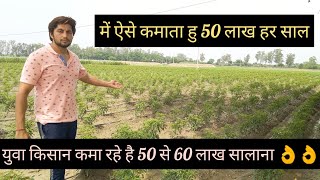 युवा किसान कर रहा है 50 लाख सालाना की कमाई || Young Farmer Earns 50 Lakh every Year || Hello Kisaan