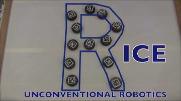 Robotic Ensemble Control @ Rice University