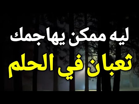 تفسير رؤية الثعبان في المنام ليه ممكن يهاجمك ثعبان في الحلم ستندهش