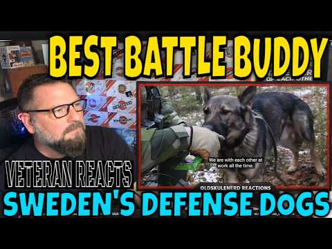 OLDSKULENERD Reaction Swedish Armed Forces - 8 MILITARY DOGS