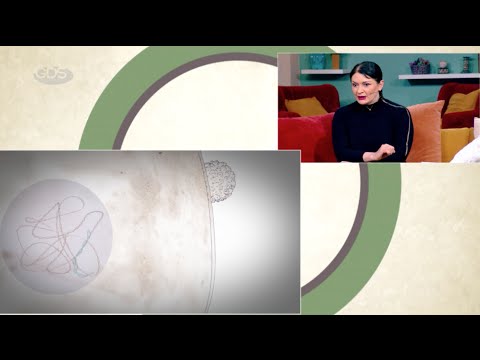 პაპილომა ვირუსი | დამახასიათებლი სიმპტომები და ვაქცინაციის როლი