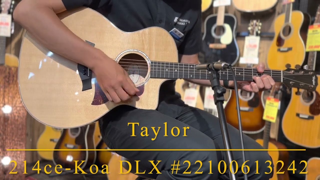 〔新品特価〕Taylor 214ce-Koa DLX #22100613242【箱鳴り抜群!!】【トラ杢サイド&バック】