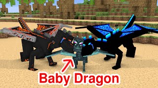 Monster School : Baby Dragon Finds Its Parents - Sad Story - Minecraft Animation
