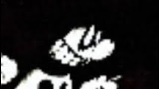 Wednesdays Infidelity Reincarnation Old Hellhole Reincarnated