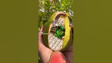 #duet #unfrez #musicapp #viralvideo #lifeisbutadream #unfrezzmyaccount #shortvideos