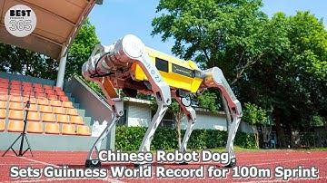 Chinese Robot Dog Sets Guinness World Record: 100m Sprint in 16.33 Seconds!