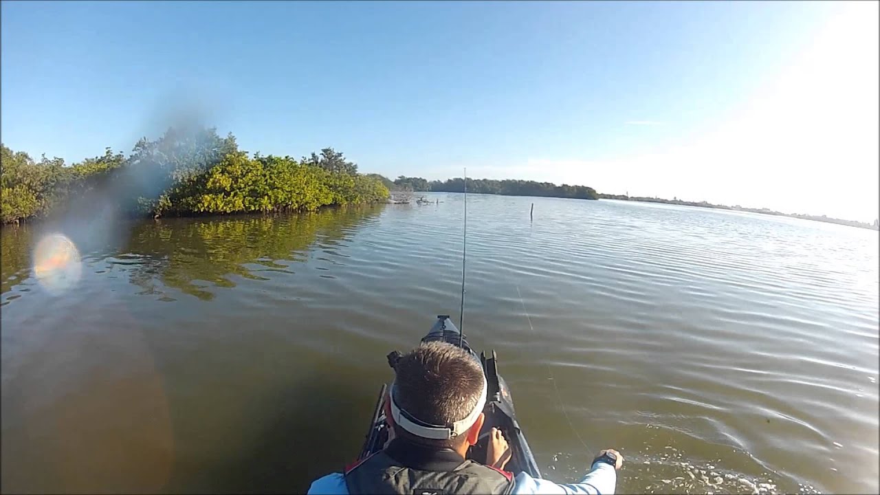1000 Islands Cocoa Beach 1 12 2017 You 1000 Islands Cocoa Beach 1 12 2017
