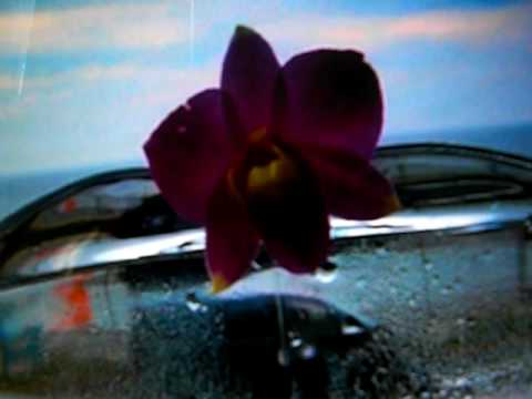 手紙【OZ-オズ-】