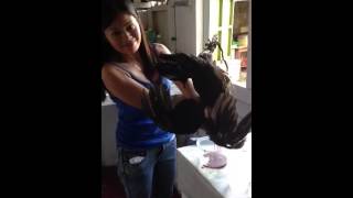 How To Kill Chicken....by Jen How To Kill Chicken....by Jen