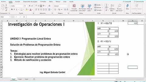 Programación Entera