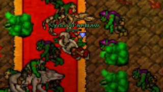 Tibia Blue Djinn Quest (Orc Fortess)