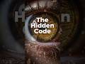 The Hidden Code | Reprogram Your Mind for Wealth DNA