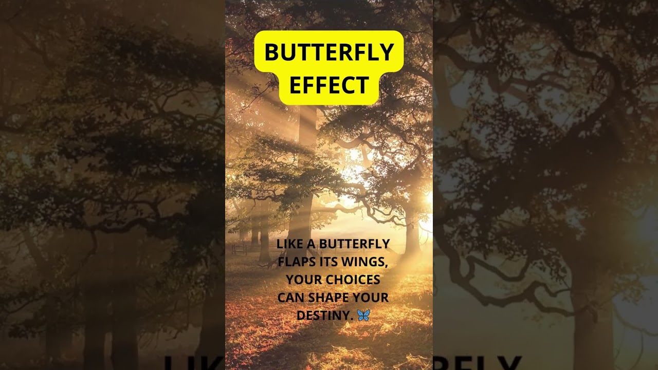 Small Actions, Profound Impact