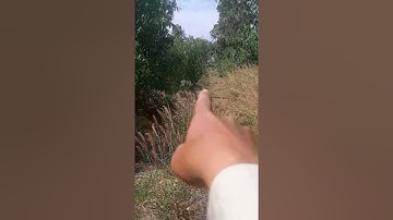 1ha0400m2 PHAN THIẾT TIẾN THÀNH.NOVAWORD. DT 719b