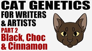 Cat Genetics for Writers & Artists part 2: Black, Chocolate, & Cinnamon [CC]
