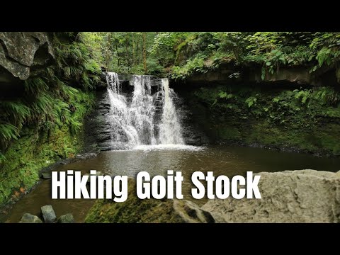 Walking Goit Stock