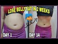 ABS IN 2 WEEKS?! I tried Chloe Ting's 2 Week Shred Challenge