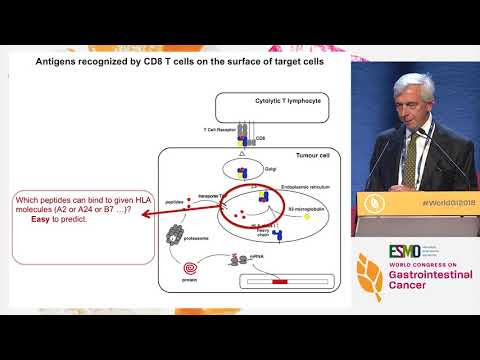 Keynote Lecture: Understanding relevant immune mechanisms in GI oncology
