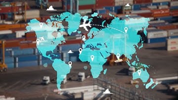 From Words to Vectors: Exploring the Magic of Word Embeddings