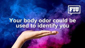 Can odor be used to identify us?