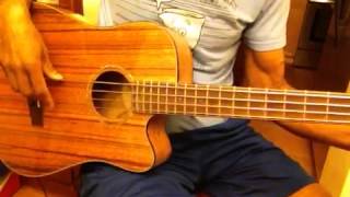 Fender Victor Bailey Acoustic Electric 4 String Bass Guitar