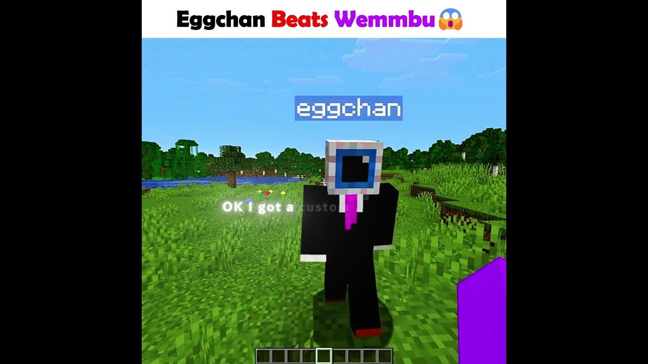 Eggchan Fights Wemmbu😱#unstablesmp #edit