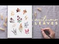 Autumn Flowers + Leaves | Mini Watercolor Florals