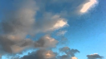 Align Trex 450 pro build and fly