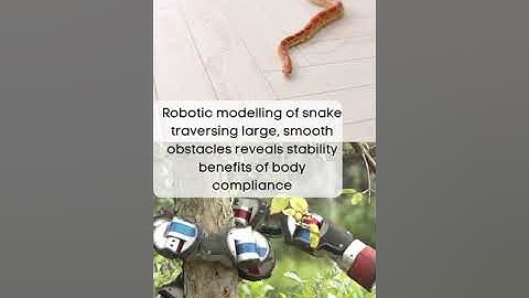 Snake Robotics || The  Starkians #shorts