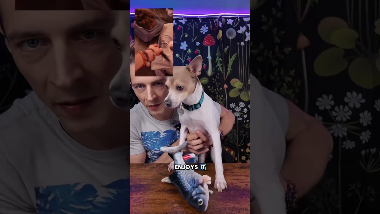 Keep Your Cat Entertained with the Flopping Fish Toy! 