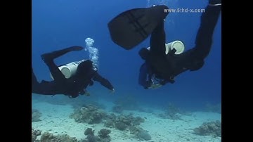 (5thD-X) Essentials Of Technical Diving (FULL)
