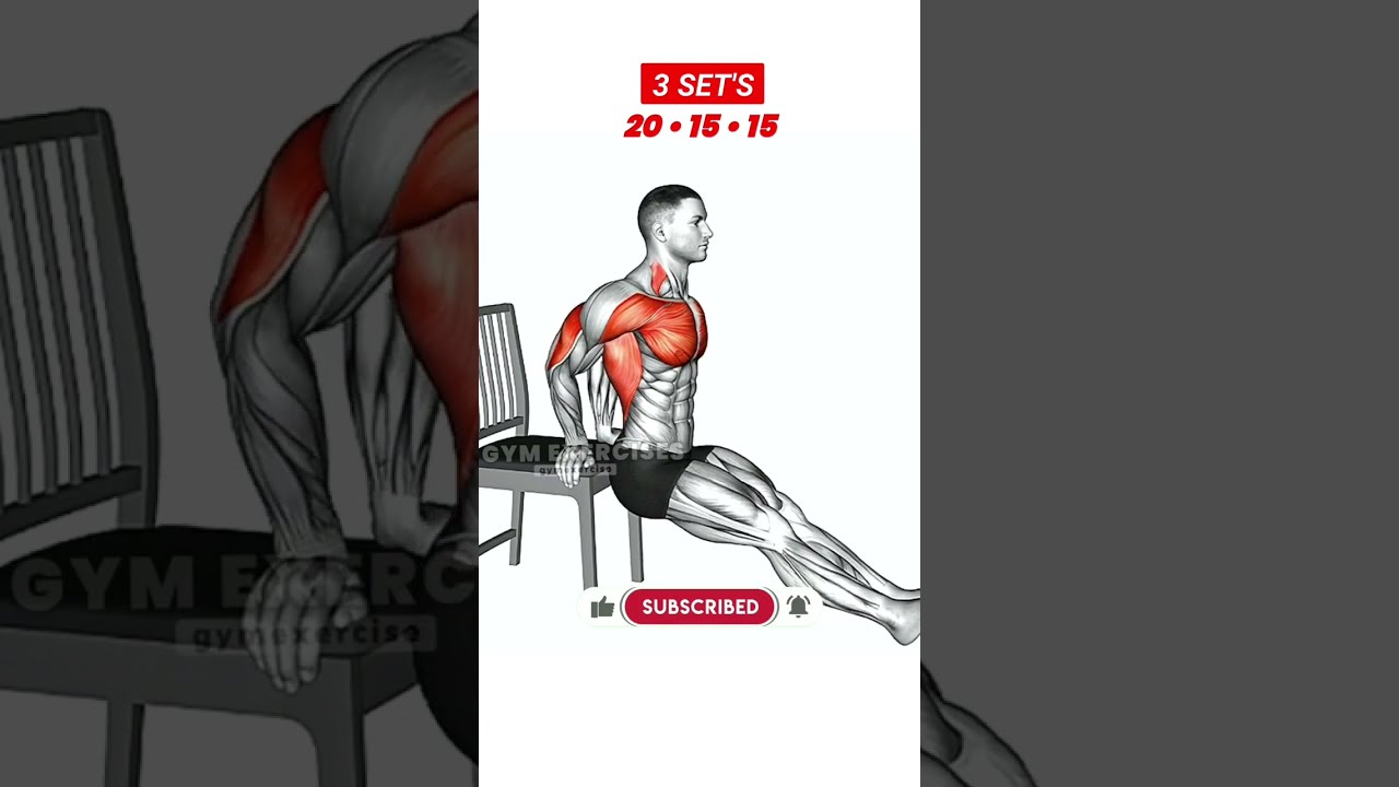 Chest Workout At Home Beginners Chest Workouts At Home Chest Chest Workout At Home Beginners Chest Workouts At Home Chest