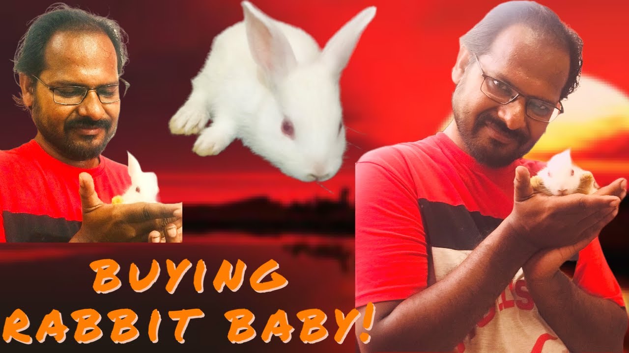 Ajj hum rabbit ka baby lay aye|| sub khush|| - YouTube