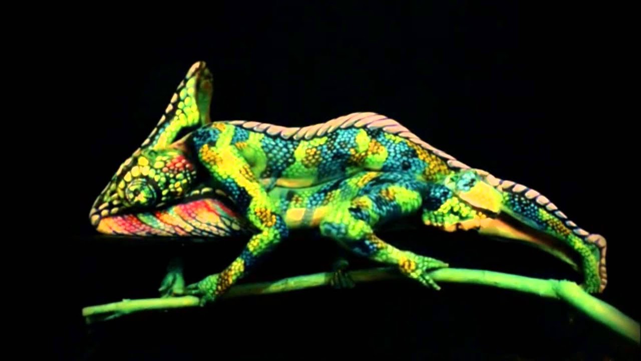 body painting illusions