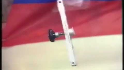 The Dzhanibekov Effect | Why Rotating Objects Suddenly Flip