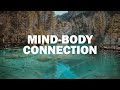 Relaxing music healing stress, anxiety and depressive states - Heal body and soul 🌿