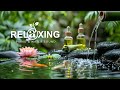 🌼 Peaceful Ambience Piano: Relieving Insomnia & Anxiety with Gentle Water Sounds 💧10