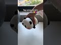 Video Image