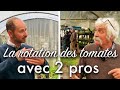 Quelles rotations pour les tomates 