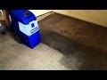 Removing A Dark Stain With A Rug Doctor X-3
