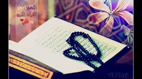 قران كريم سورة المسد جزء عم بصوت الشيخ سعد الغامدى holy quran sorat almsad saad alghamedy part 30